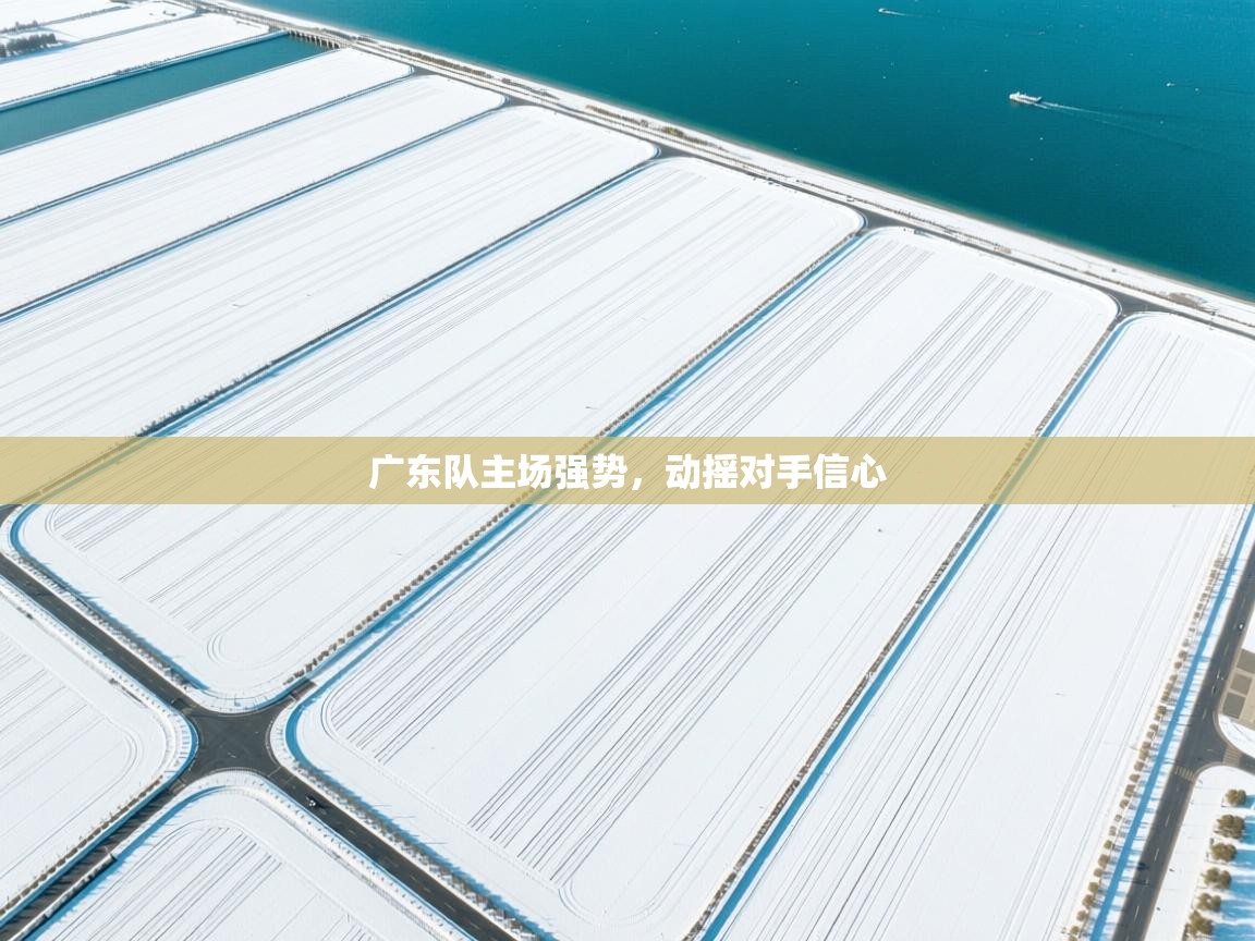 广东队主场强势，动摇对手信心  第1张