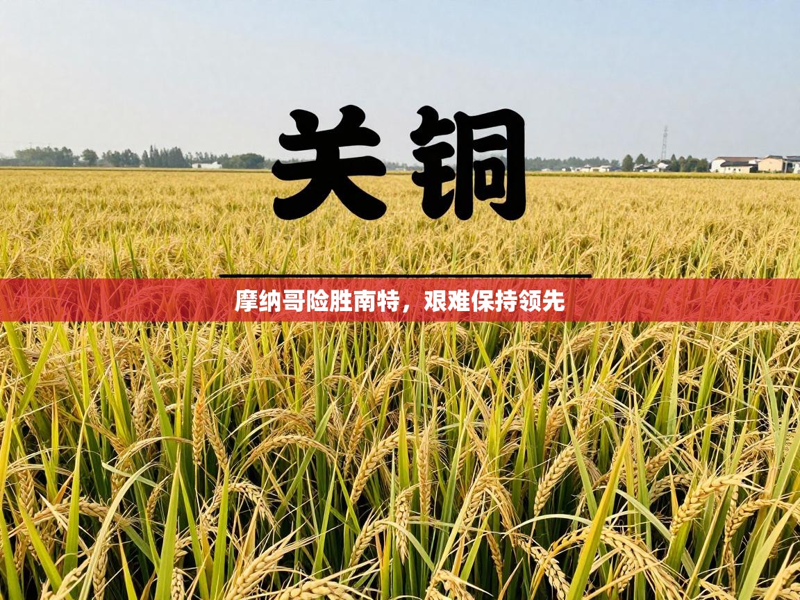 摩纳哥险胜南特,艰难保持领先 第1张